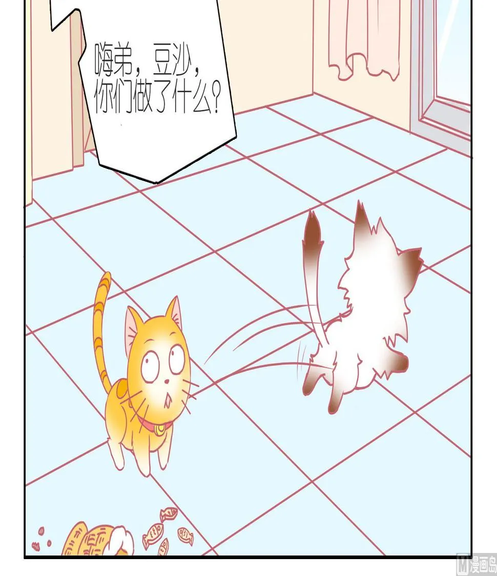 第38话 告别豆沙 1 第6页