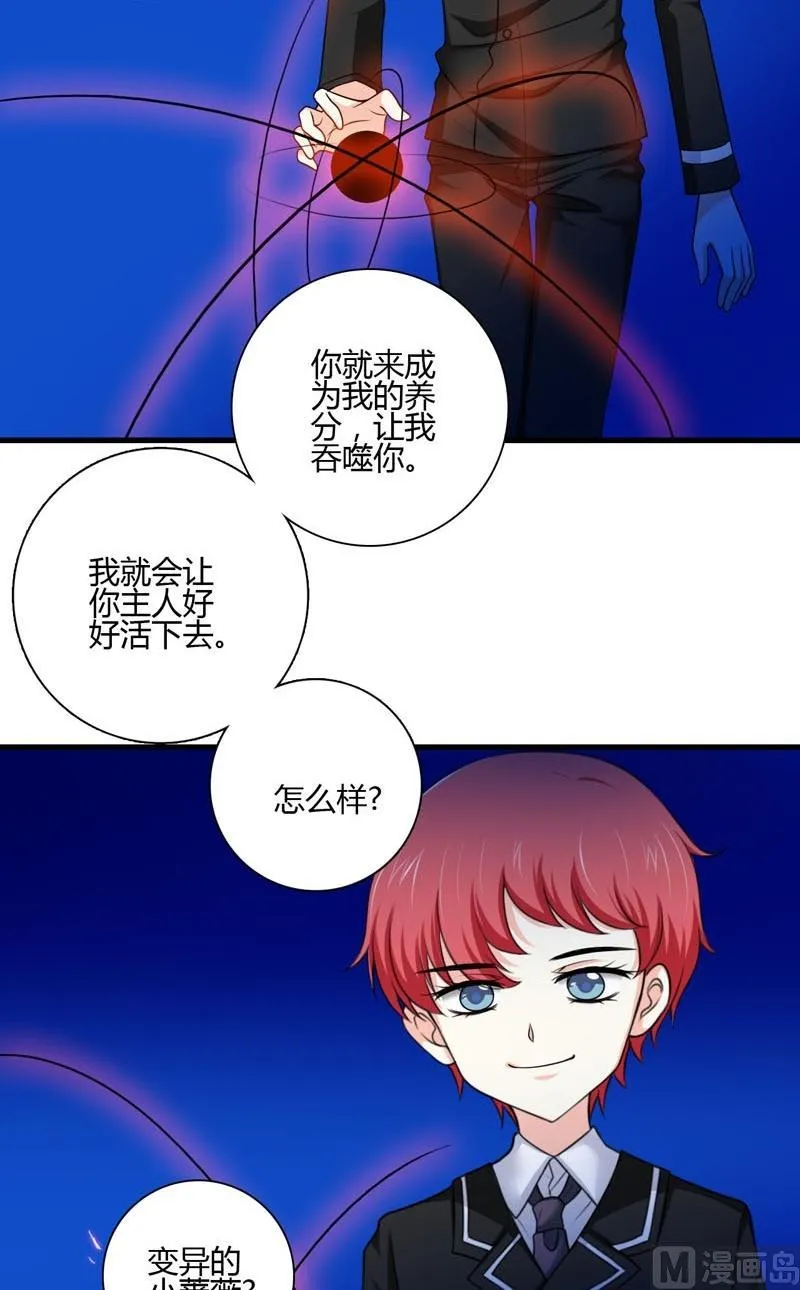 第43话变异蔷薇 第12页