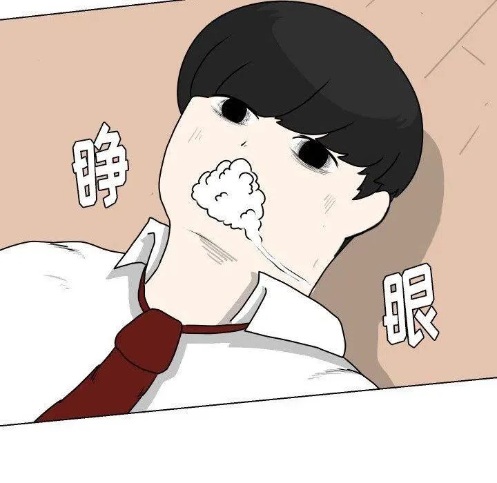 24 第20页