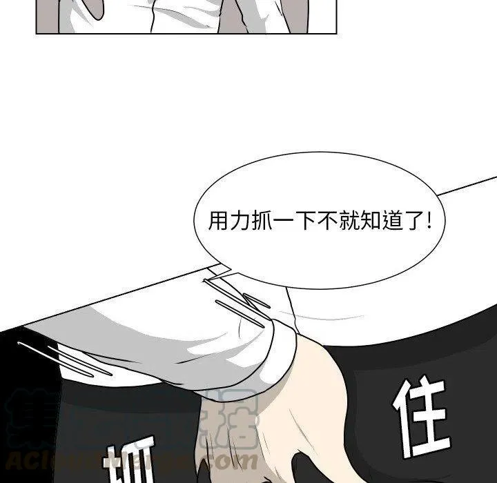 23 第52页