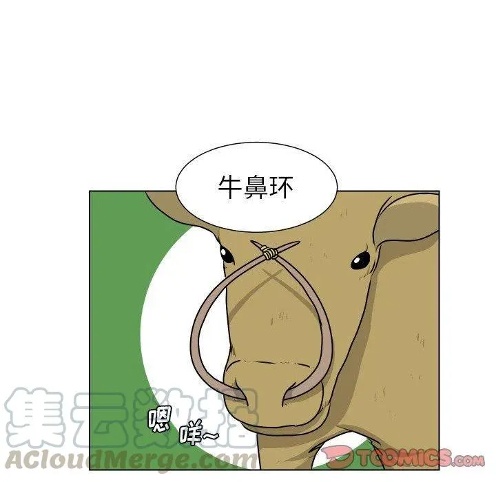 19 第34页