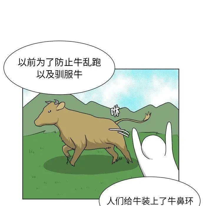 19 第35页
