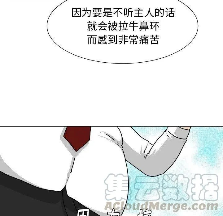 19 第37页