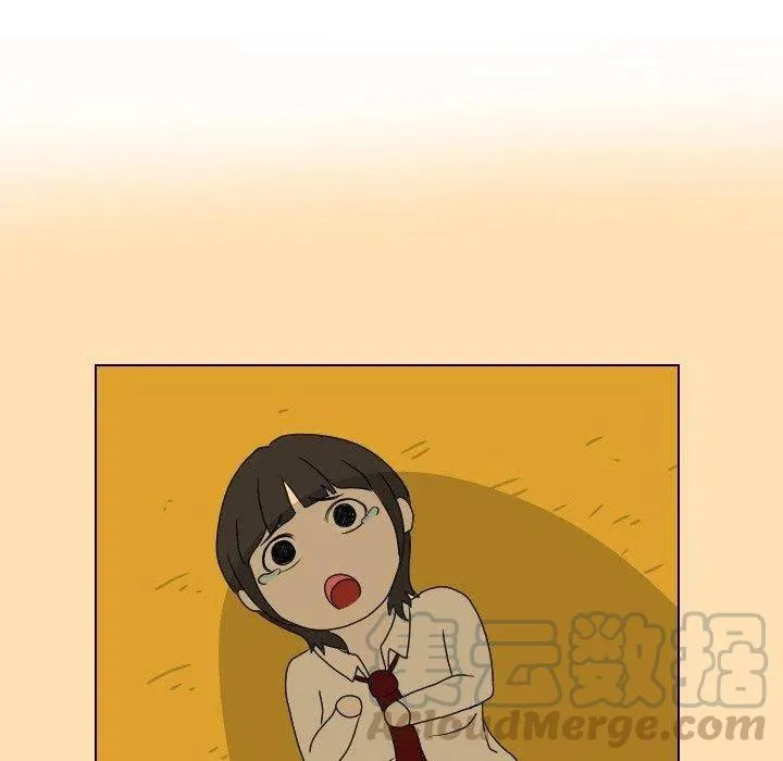 13 第5页