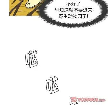 7 第26页