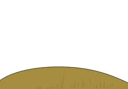 8 第3页