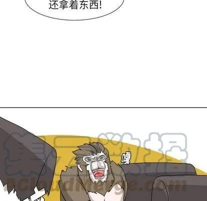 8 第19页