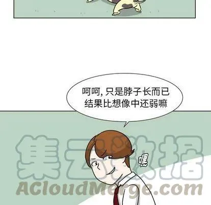 8 第61页
