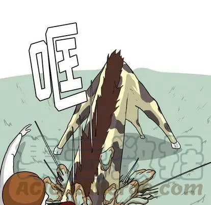 8 第64页