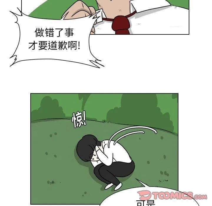 11 第26页
