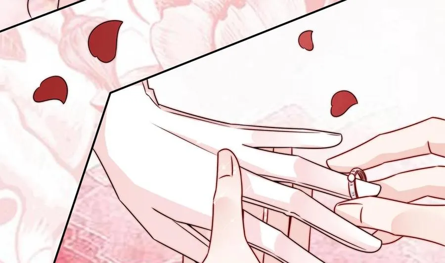 第204话 完美婚礼 第17页