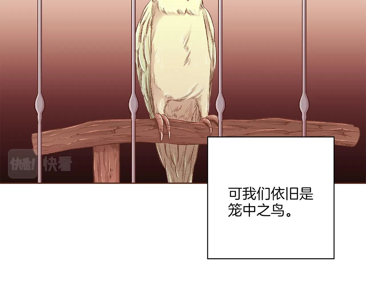 第196话 皇后与弟弟 第14页
