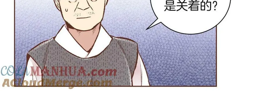 第258话 “闹婚”风波 第13页