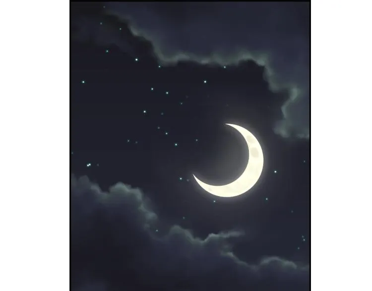第14话 刺探敌情 第172页