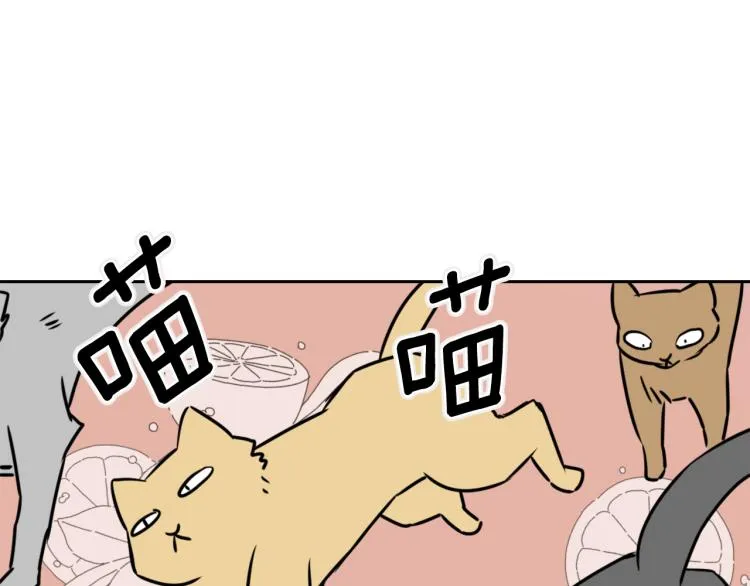 第15话 观战 第127页
