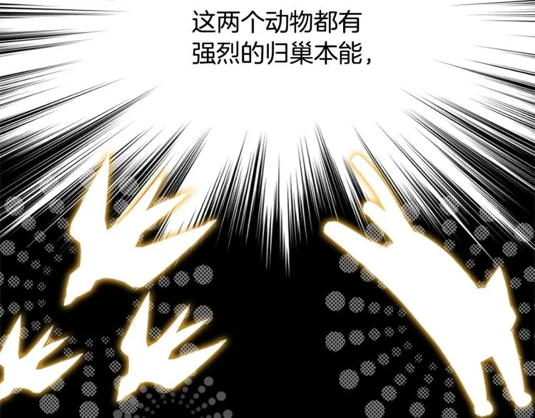 第16话 猫和燕子 第33页