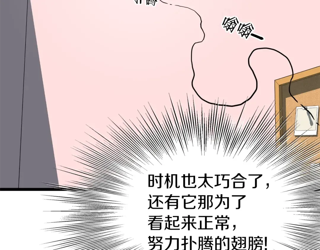 第72话 后背发凉 第235页