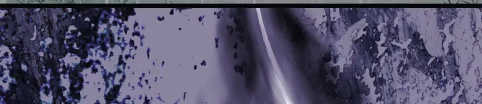 第244话 师傅您来晚了 第234页