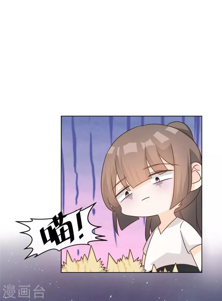 第41话 不然叫猪 第13页