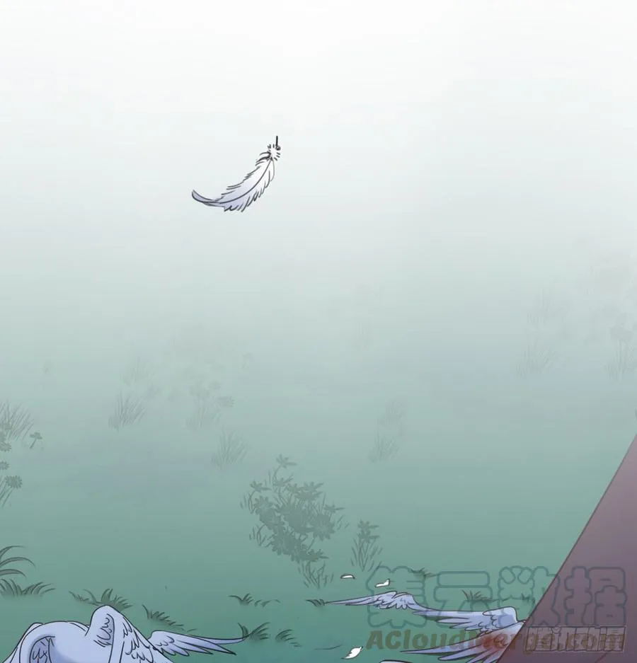 消失的天鹅 第21页