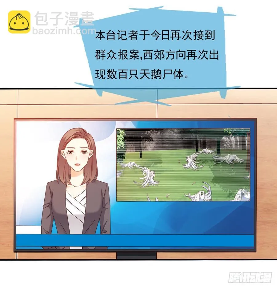 消失的天鹅 第26页