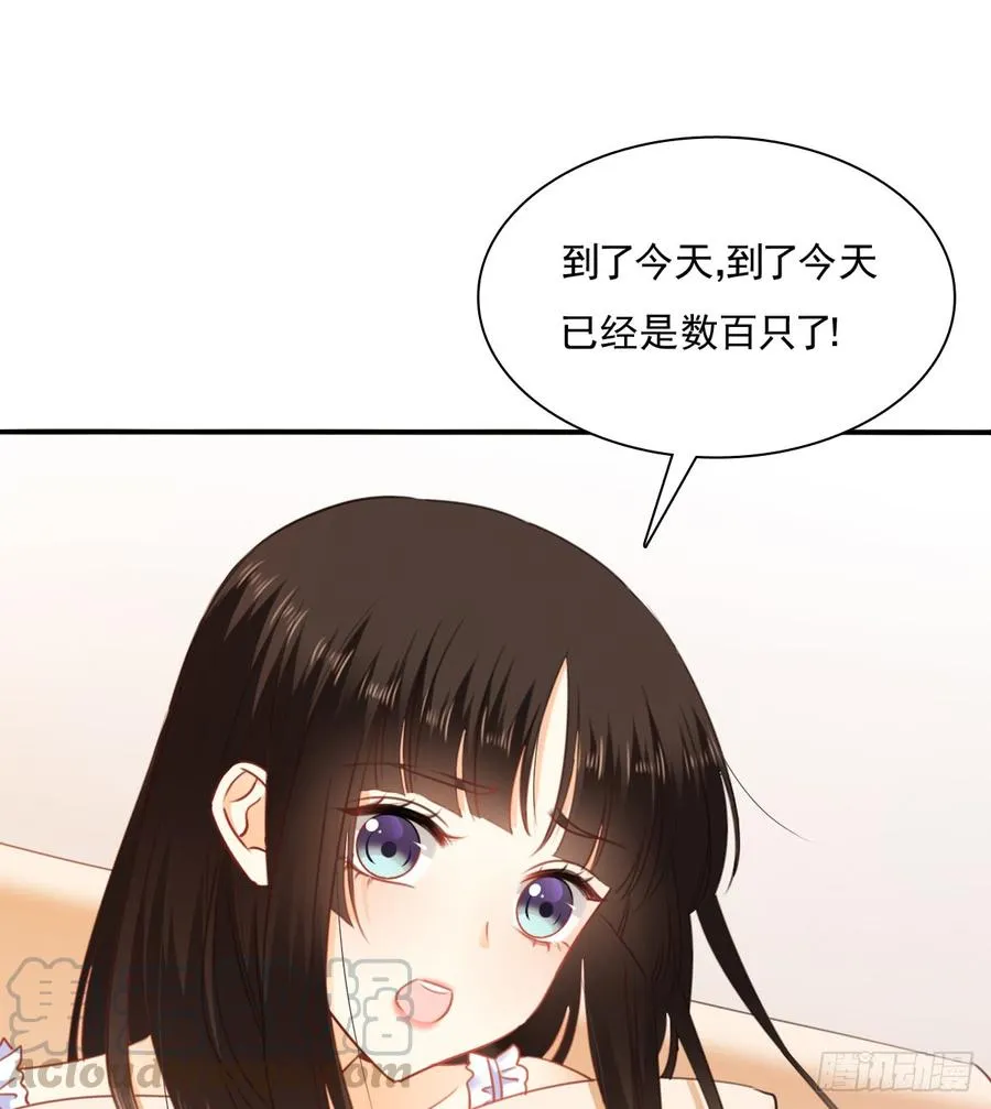 消失的天鹅 第31页