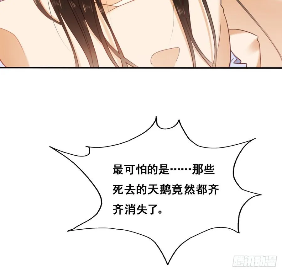 消失的天鹅 第32页