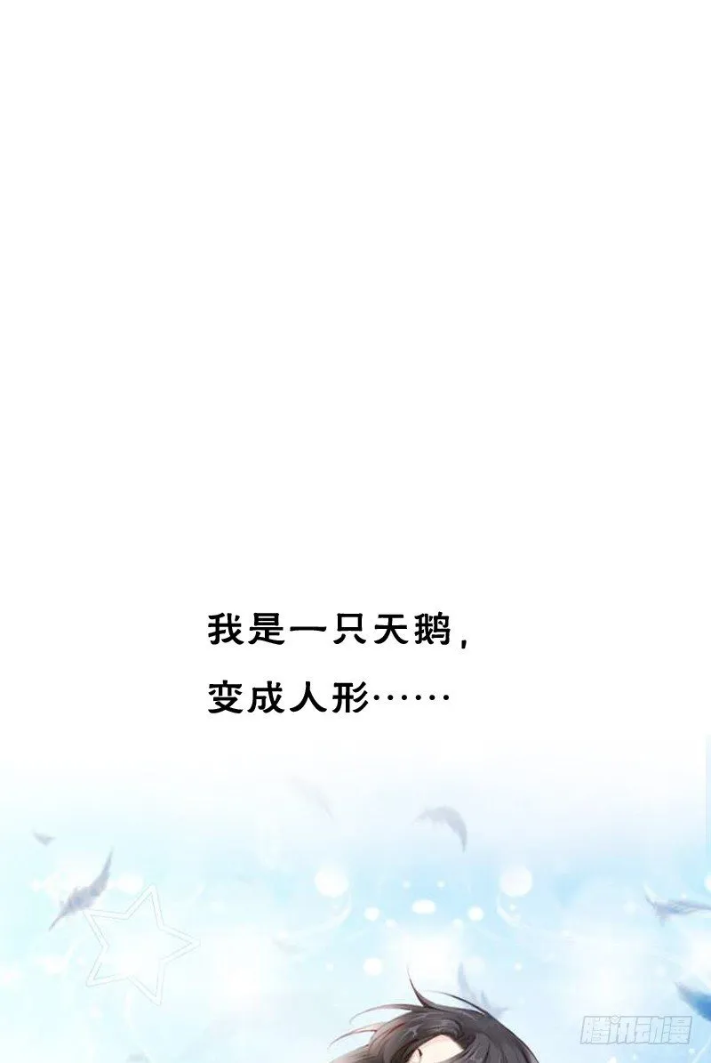 预告：飞越千山命中注定 第1页