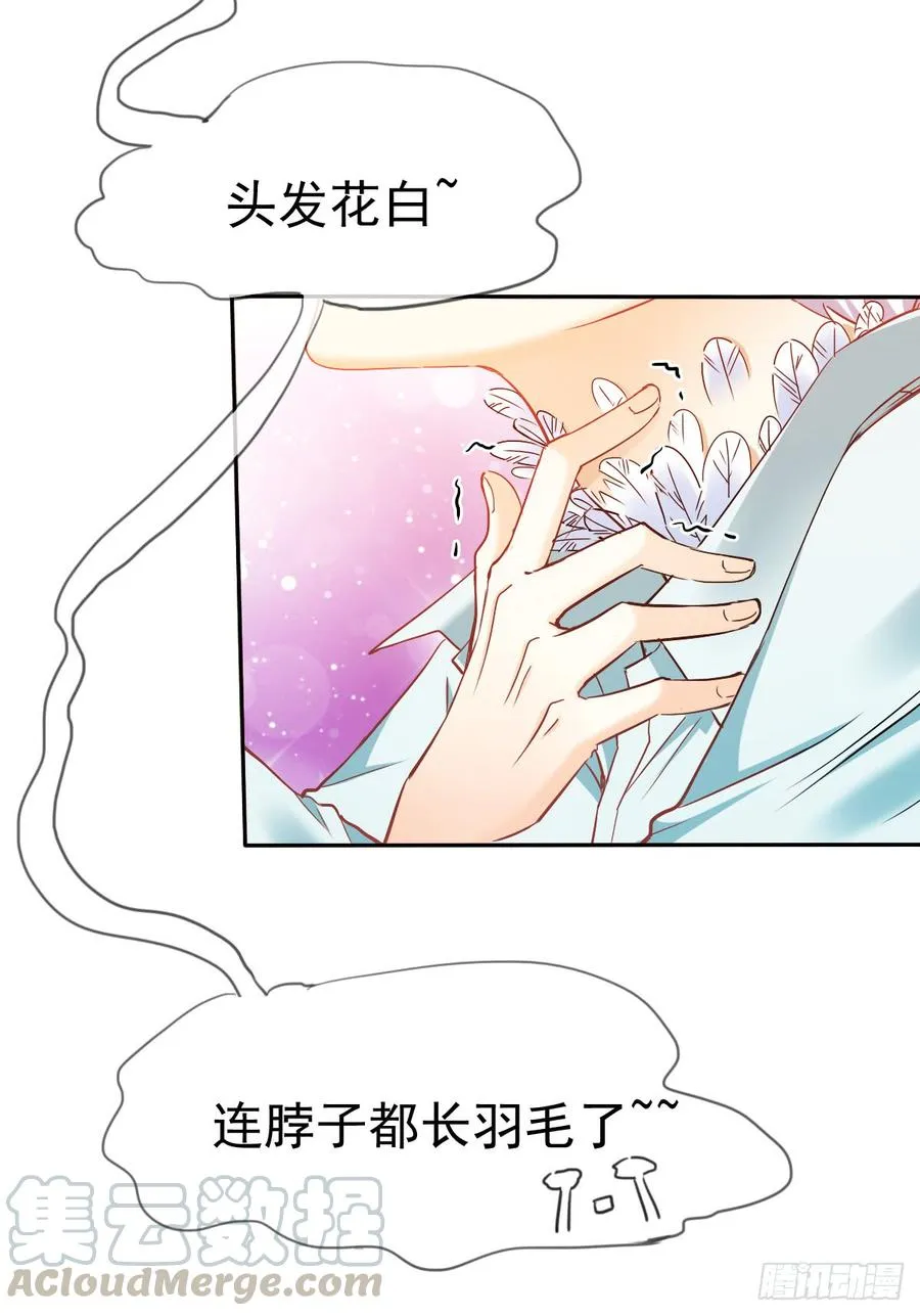 白天，你不能有事！ 第41页