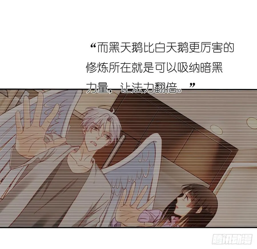 要么成功要么坠入黑暗 第27页