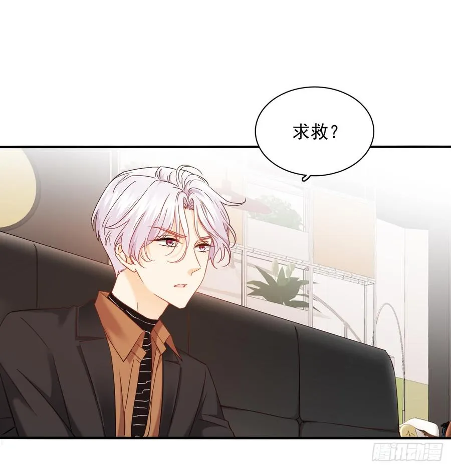 不见她踪影 第42页