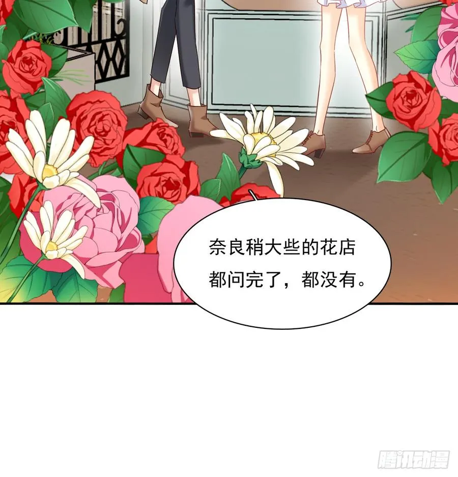 从没见过他 第8页
