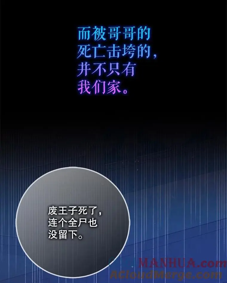 104.公王的预测 第29页