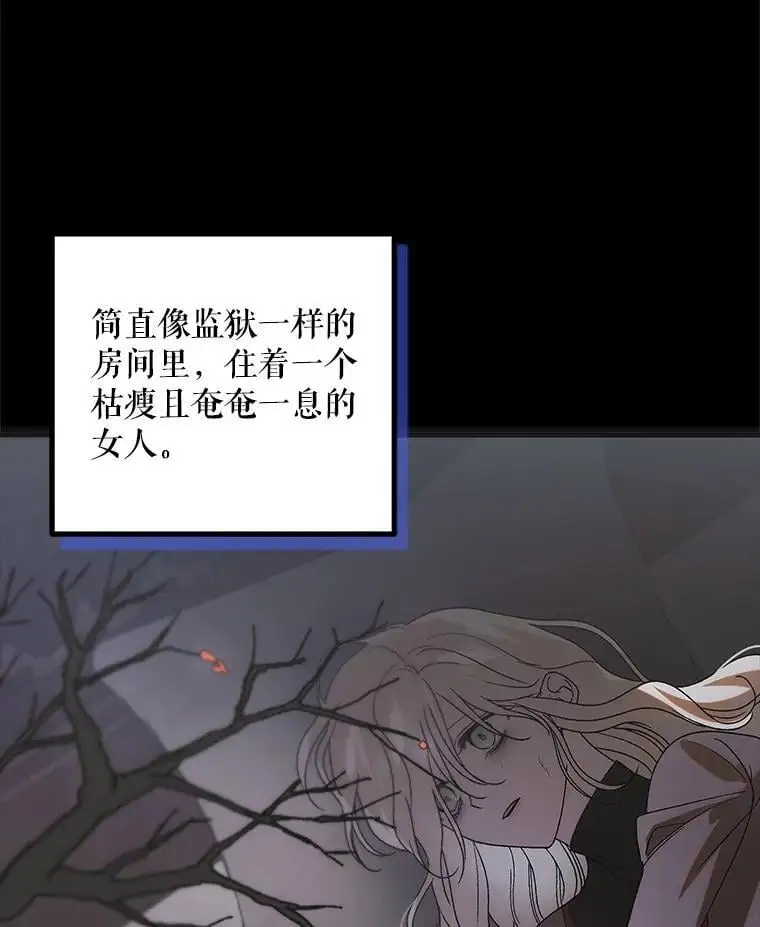 104.公王的预测 第56页