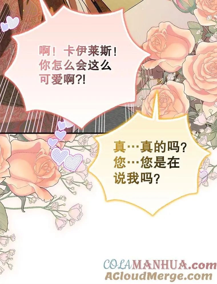 98.卡伊莱斯的猜测 第25页