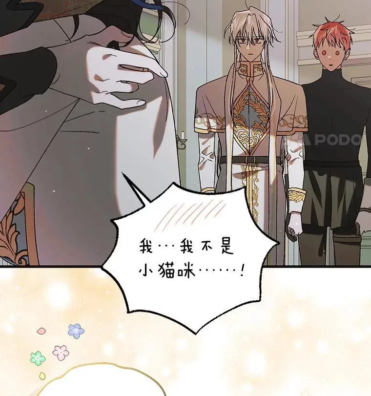 98.卡伊莱斯的猜测 第27页