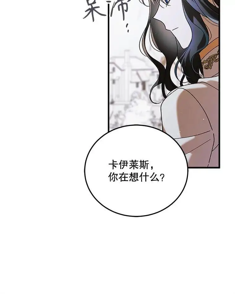 98.卡伊莱斯的猜测 第78页