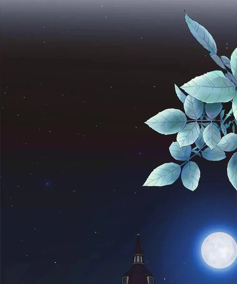 98.卡伊莱斯的猜测 第138页
