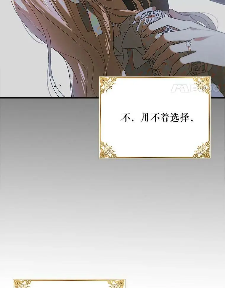 90.莱蒂莎的选择 第24页