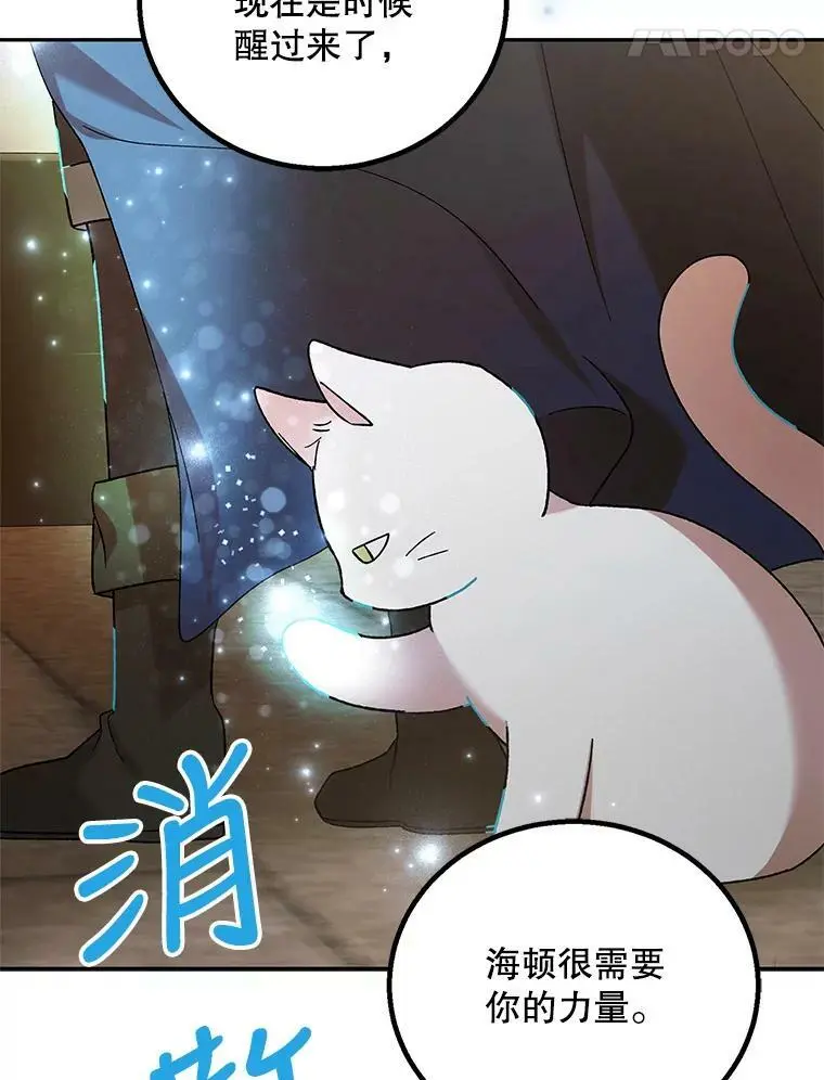 66.第三羽翼觉醒 第56页