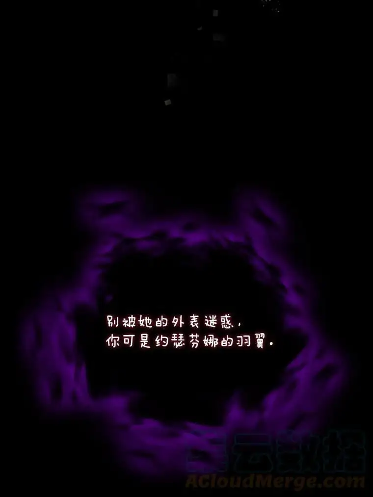 40.第二羽翼的诞生 第81页