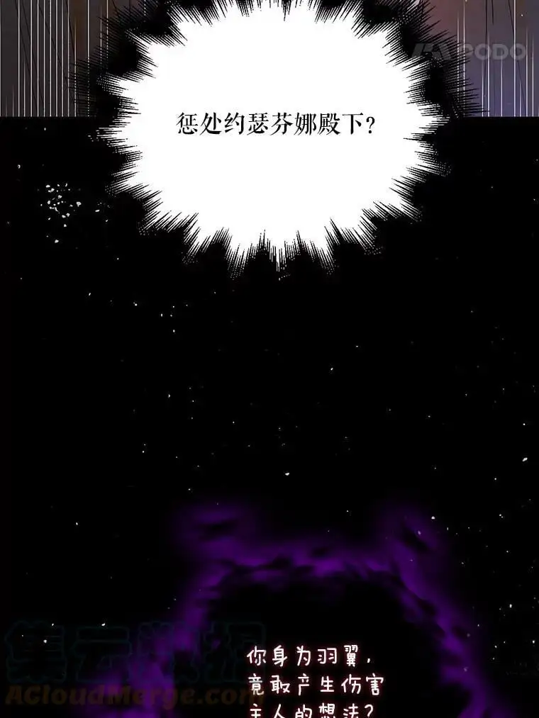 40.第二羽翼的诞生 第89页