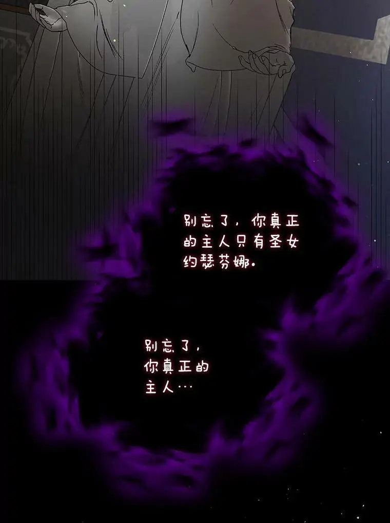 40.第二羽翼的诞生 第91页