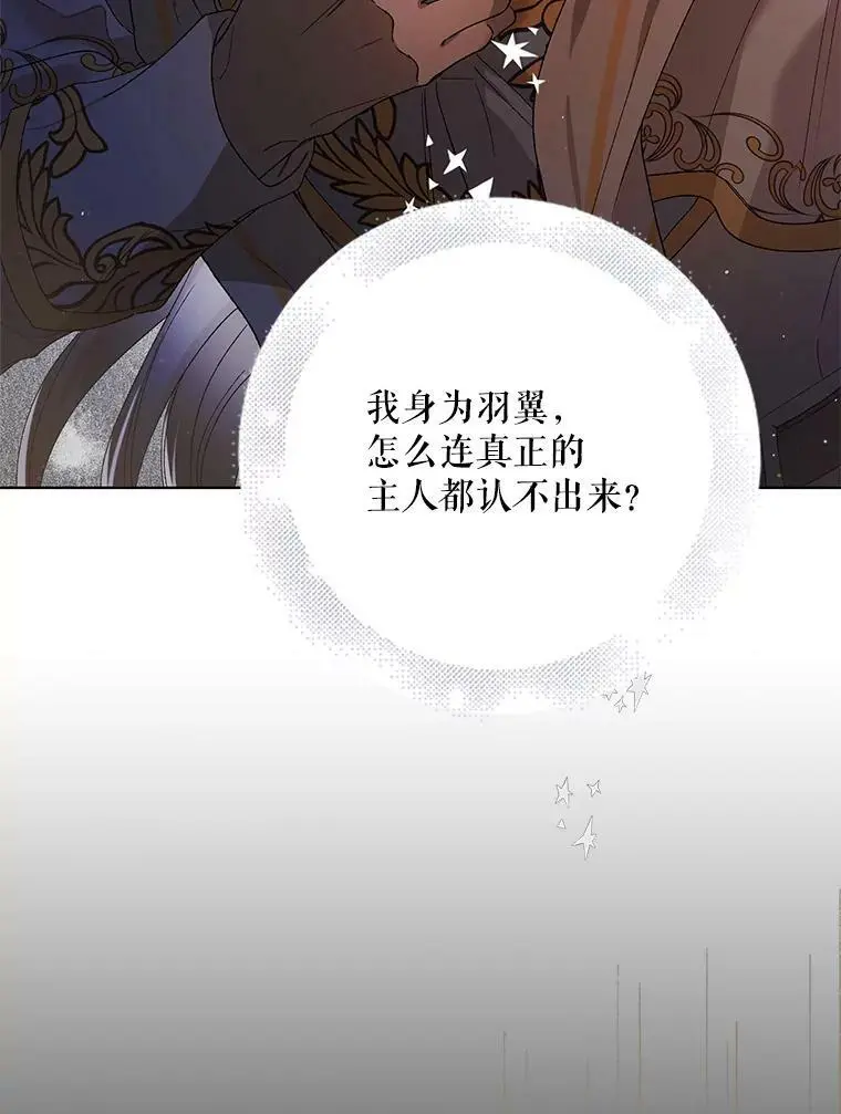40.第二羽翼的诞生 第102页