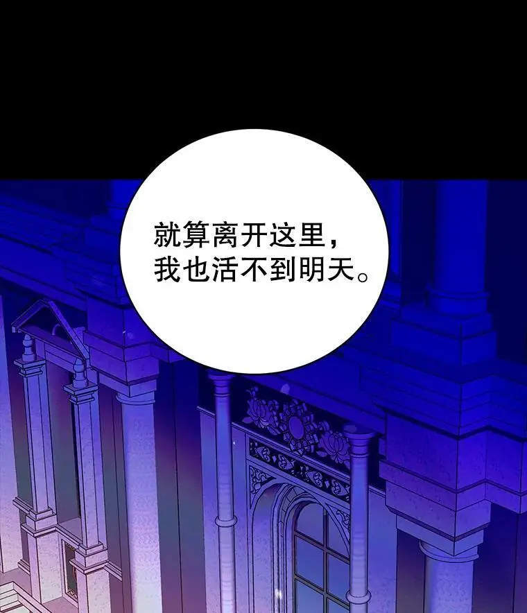 14.第二次守护 第46页