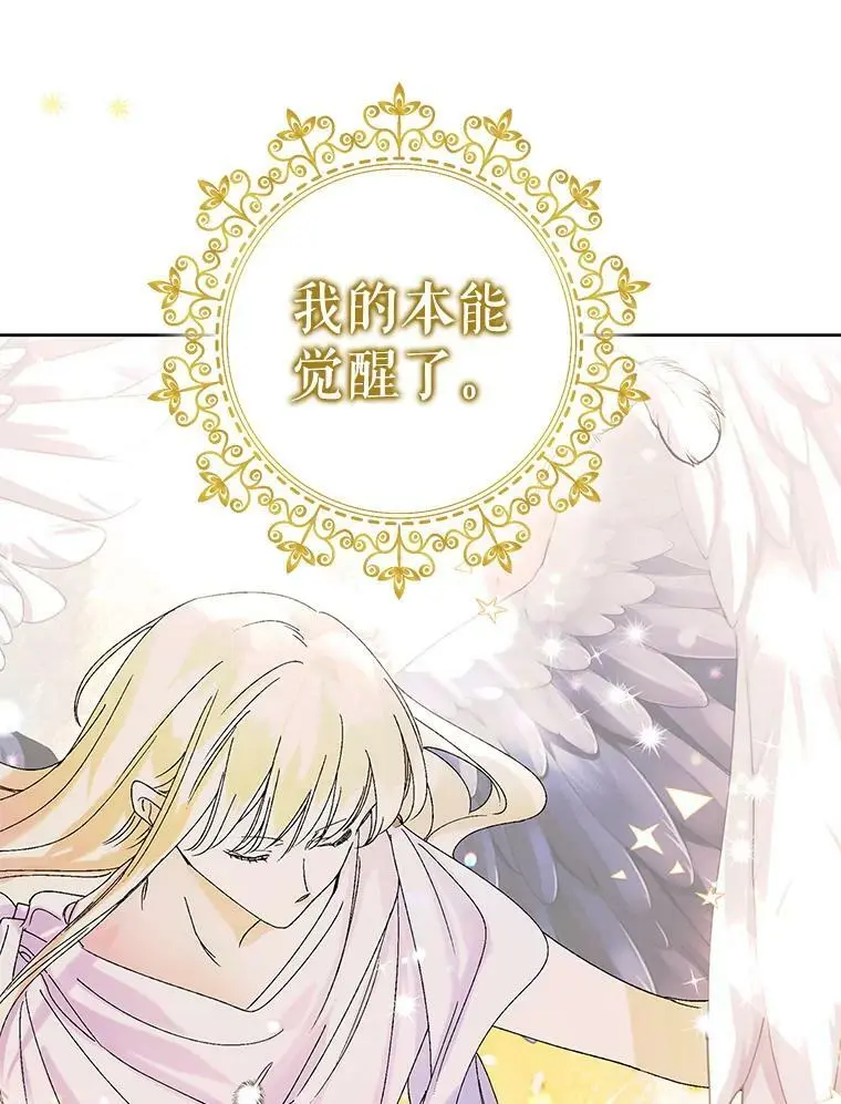 13.第九羽翼的承诺 第95页