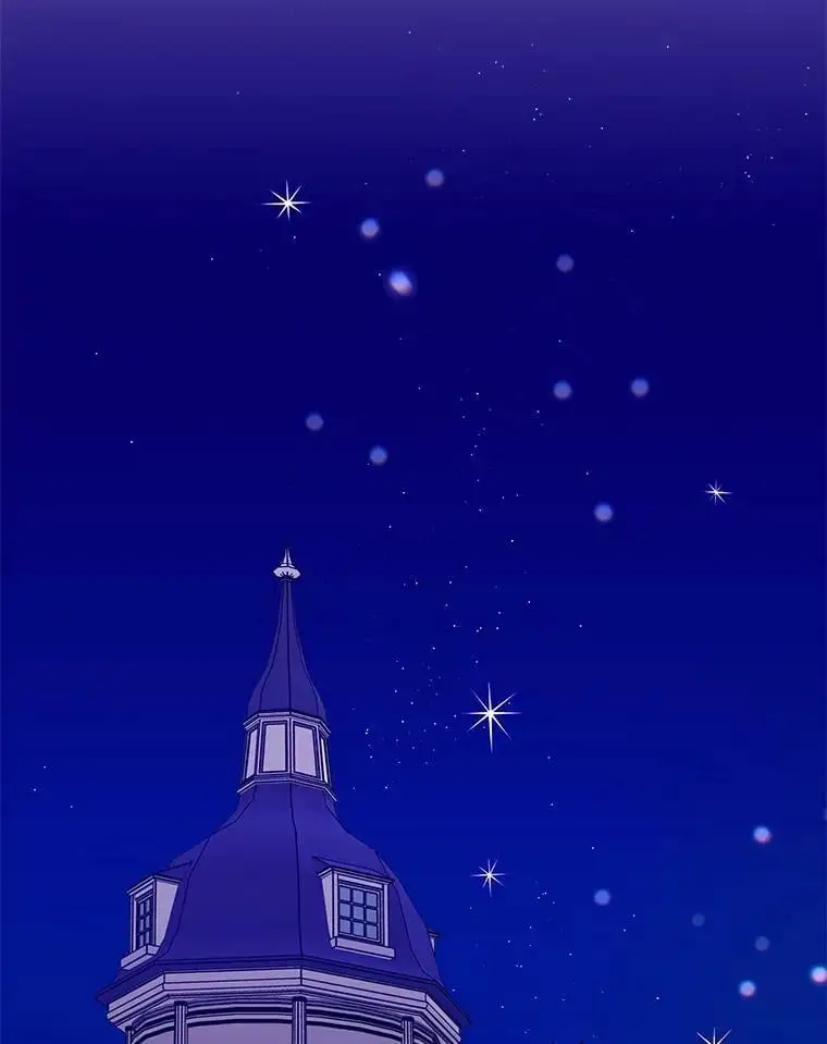13.第九羽翼的承诺 第118页