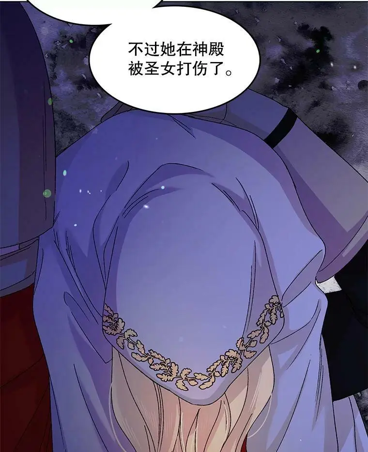 13.第九羽翼的承诺 第127页