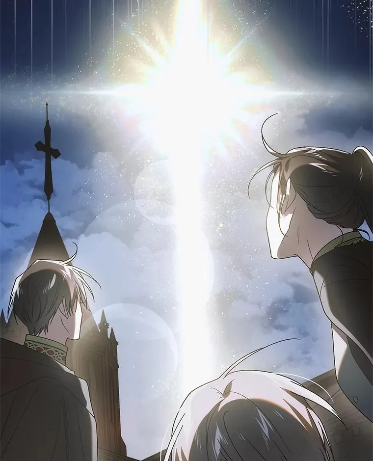 113.无根羽翼 第108页