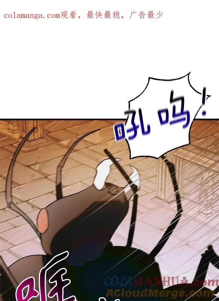 114.影失其踪 第1页